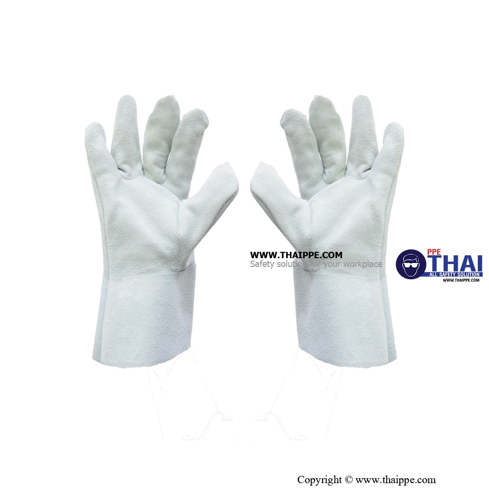 G-41 ถุงมือหนังท้องล้วน (สั้น) 