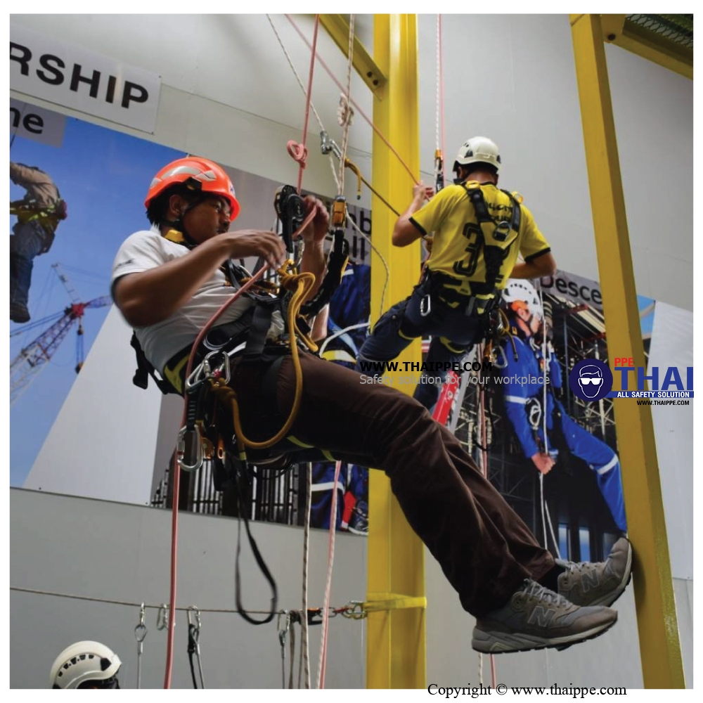 คอร์สอบรม Rope Access Level 3 ราคานี้/คอร์ส THAIPPE All Safety Solution